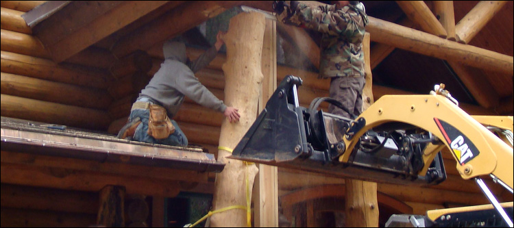 Log Home Log Replacement  Portsmouth City, Virginia