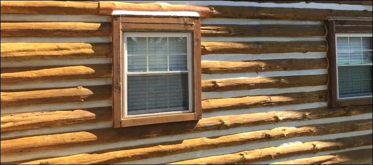 Log Home Whole Log Replacement  Portsmouth City, Virginia