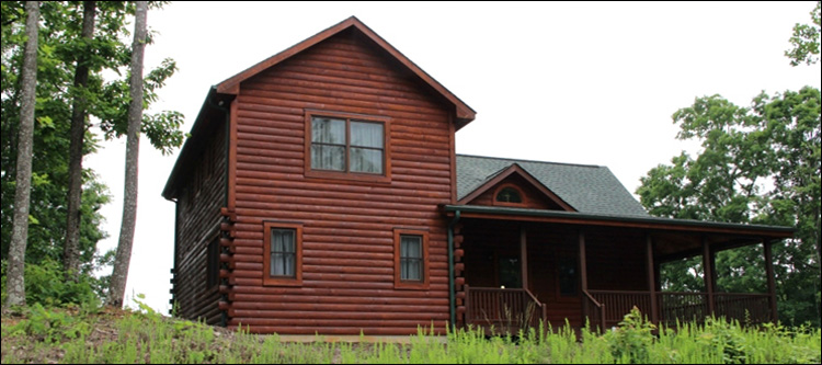Professional Log Home Borate Application  Portsmouth City, Virginia